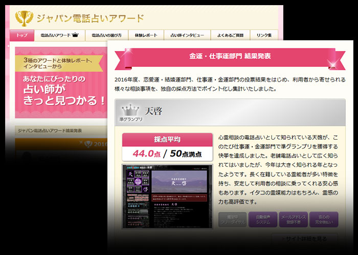 ジャパン電話占いアワード（2016年度）金運・仕事運部門「準グランプリ」