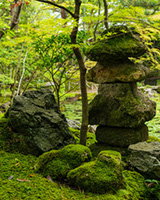 草野（くさの）先生